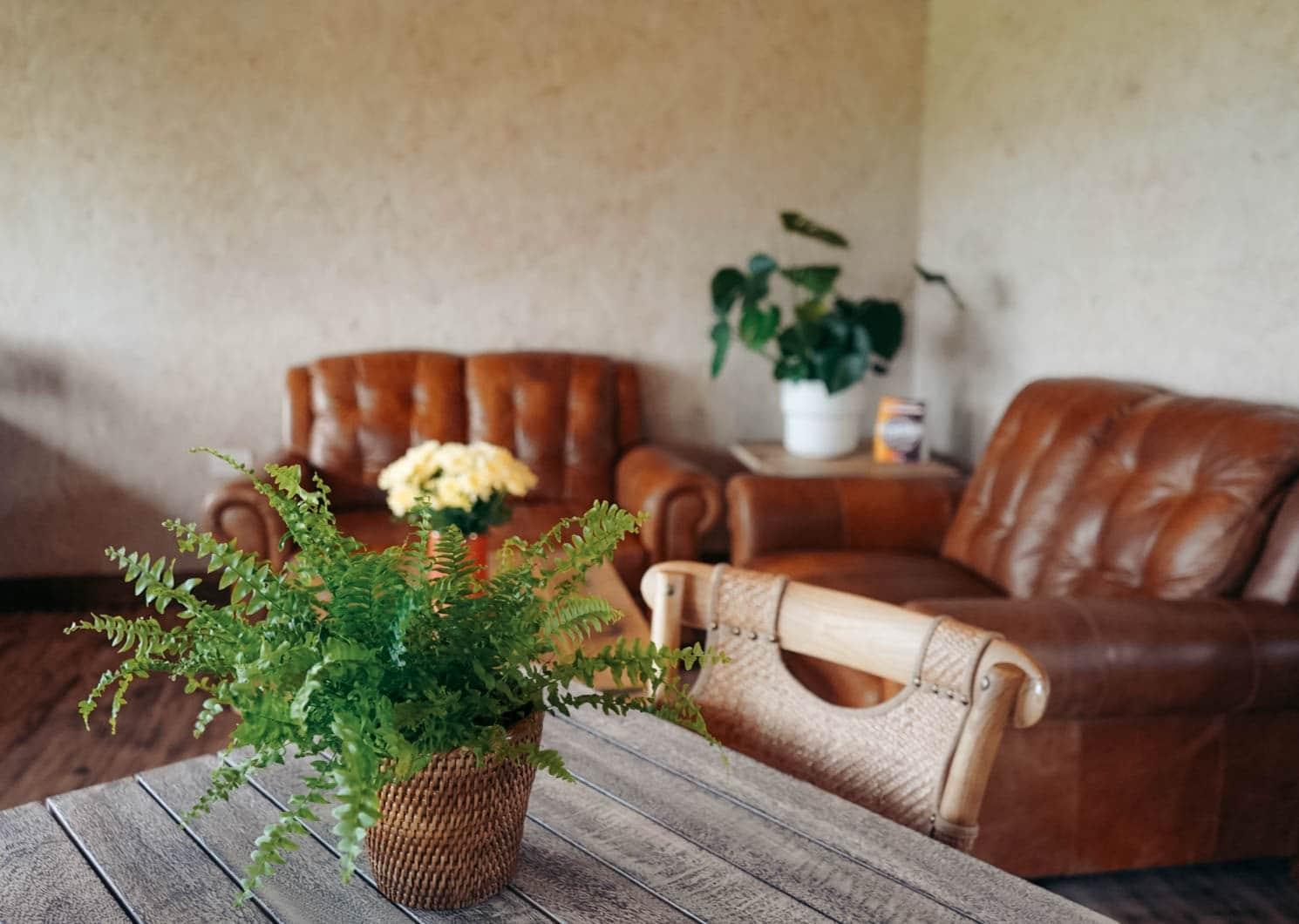 Indoor seating area